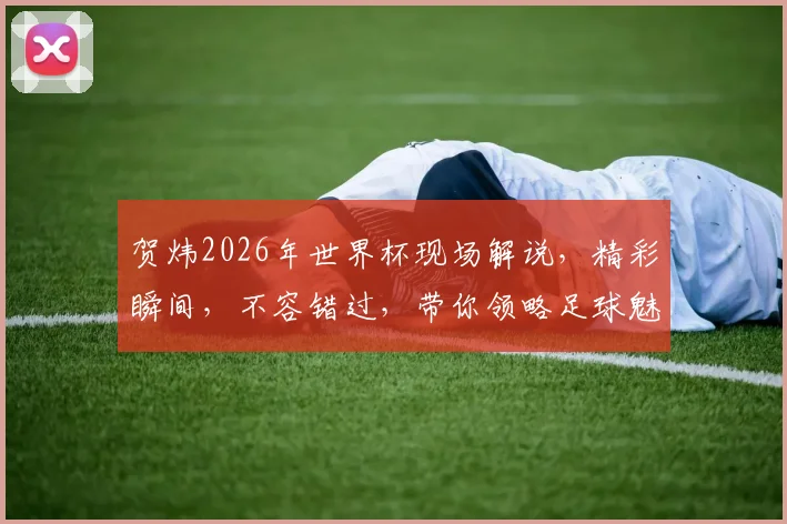 贺炜2026年世界杯现场解说，精彩瞬间，不容错过，带你领略足球魅力，