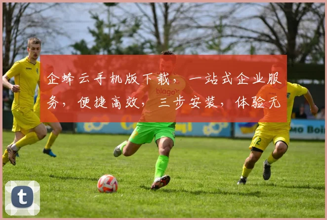 企蜂云手机版下载，一站式企业服务，便捷高效，三步安装，体验无忧，立即下载体验