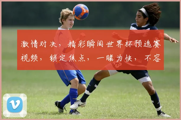 激情对决，精彩瞬间世界杯预选赛视频，锁定焦点，一睹为快，不容错过
