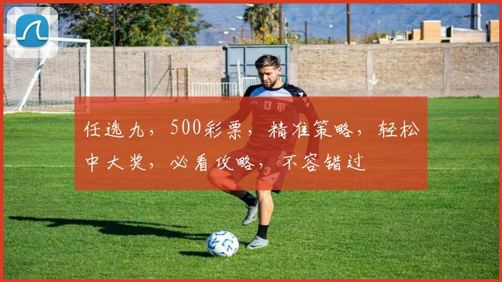 任选九，500彩票，精准策略，轻松中大奖，必看攻略，不容错过